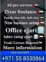 All pro services