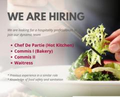 Chef / waiter hiring now