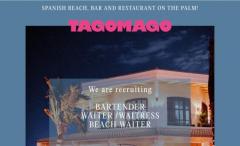 waiter / bartender
