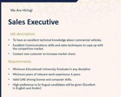 Sales executive - hiring now