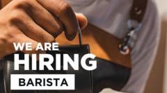 Hiring barista