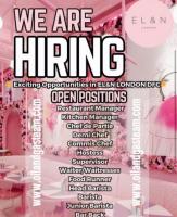 Bar and restaurant staff hiring now