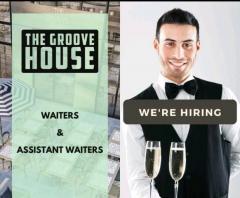 Hiring waiter & assistant waiters