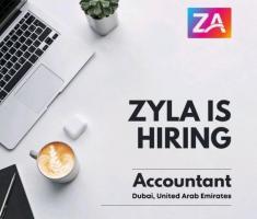 Hiring Accountant