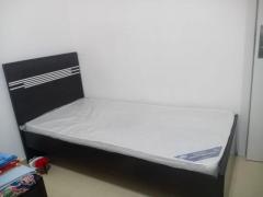 Ladies bedspace and partition available for rent now. Cheap offer - 6